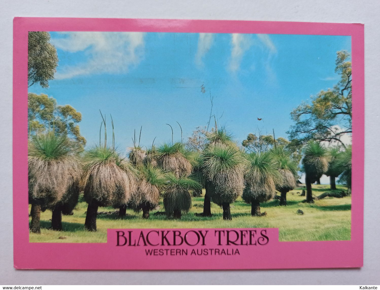 [WESTERN AUSTRALIA] - 1992 - Blackboy Trees - Otros & Sin Clasificación