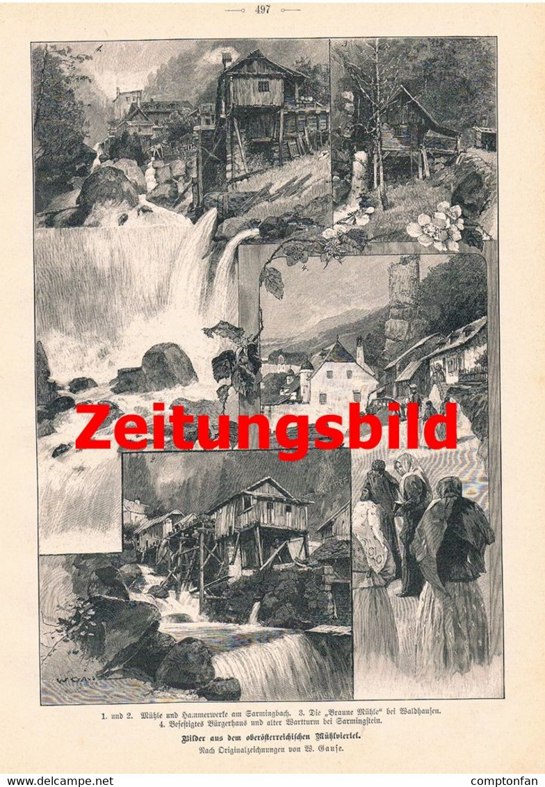 A102 950 - Wilhelm Gause Mühlviertel Oberösterreich Mühlkreis Artikel Von 1899 !! - Autres & Non Classés