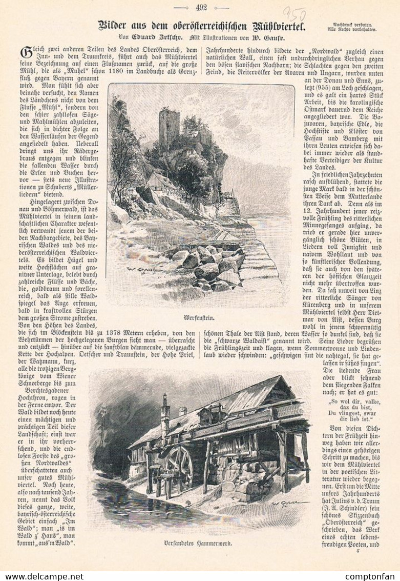 A102 950 - Wilhelm Gause Mühlviertel Oberösterreich Mühlkreis Artikel Von 1899 !! - Autres & Non Classés