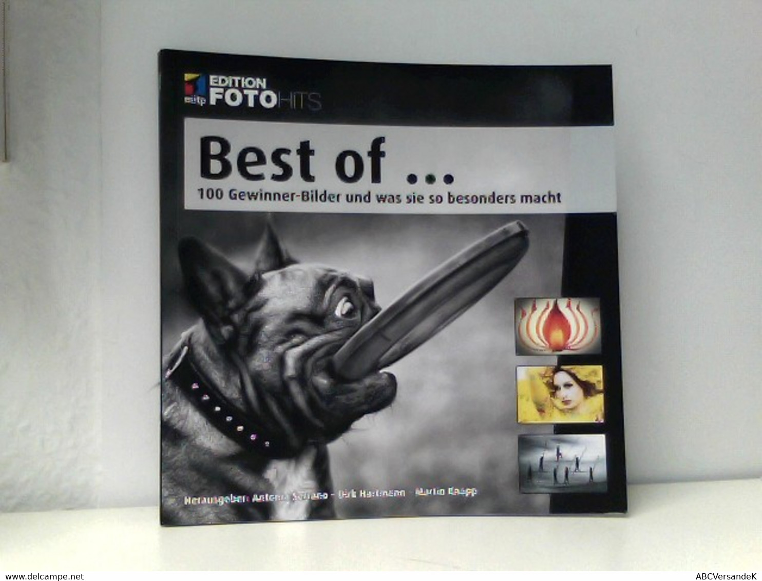 Best Of ...: 100 Gewinner-Bilder Und Was Sie So Besonders Macht (Edition FotoHits) - Fotografie