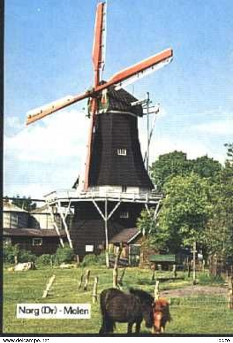 Nederland Holland Pays Bas Norg Met De Molen - Norg