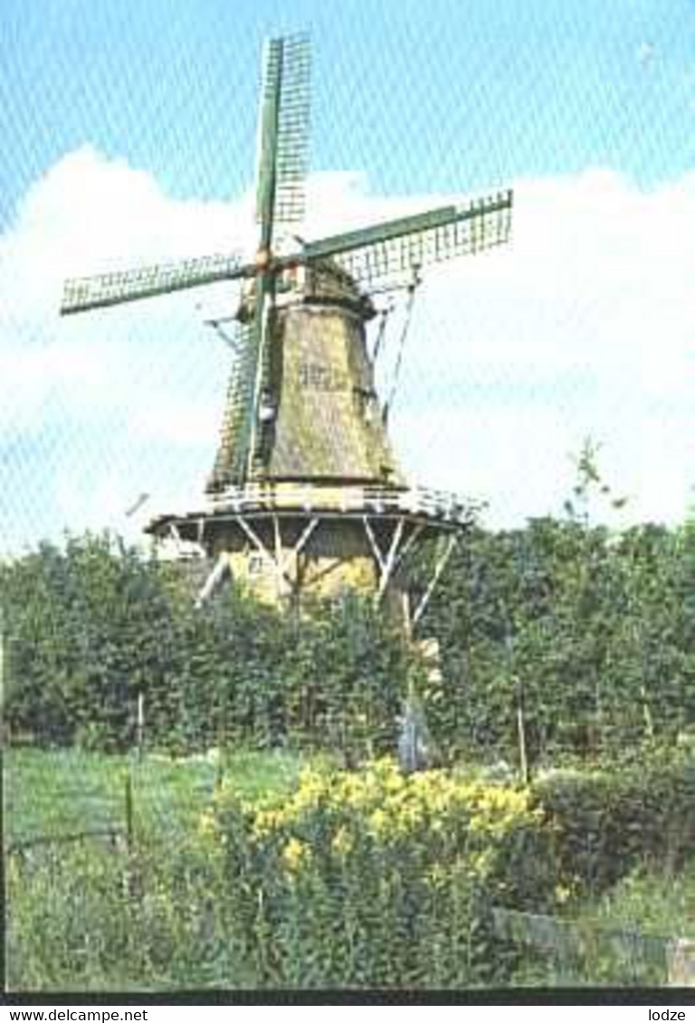 Nederland Holland Pays Bas Norg Met De Molen 1878 - Norg