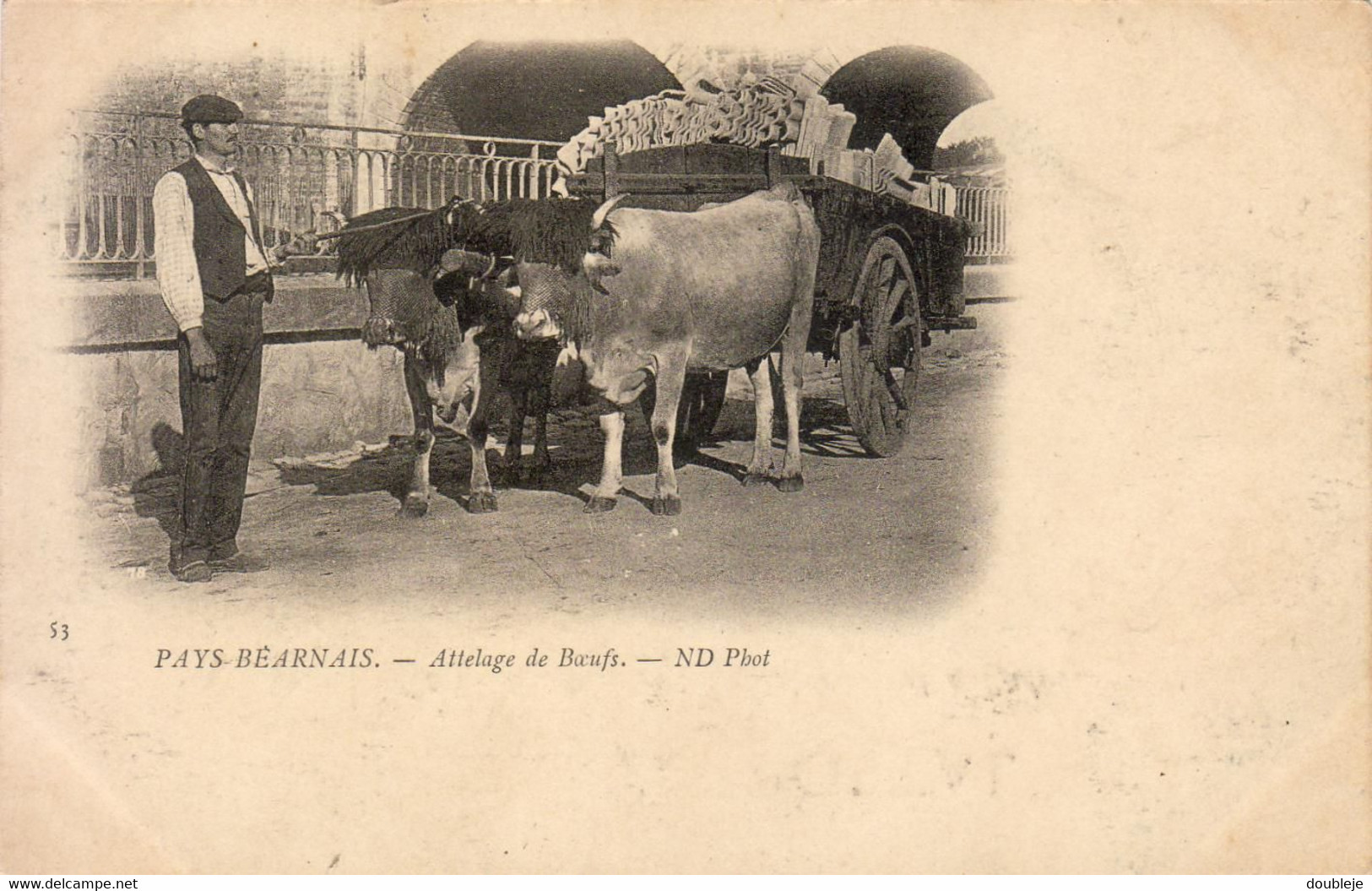 D64   PAYS BÉARNAIS  Attelage De Bœufs - Bearn