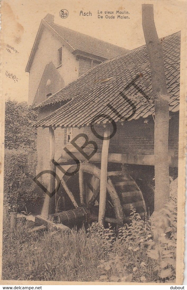 Postkaart/Carte Postale - AS - De Oude Molen (C1680) - As