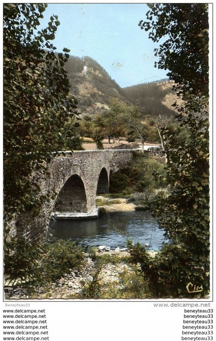 CPSM (Réf:J654) CHANAC (LOZÈRE 48) 103 Le Pont Vieux Sur Le Lot - Chanac