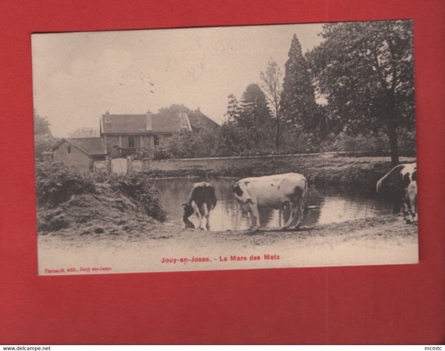 CPA - Jouy En Josas  -  La Mare Des Metz  -( Vaches , Vache) - Jouy En Josas