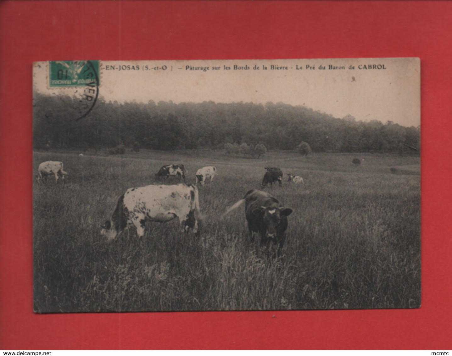 CPA - Jouy En Josas  -  (S.-et-O.) - Pâturage Sur Les Bords De La Bièvre - Le Pré Du Baron De Cabrol  -( Vaches,vache) - Jouy En Josas