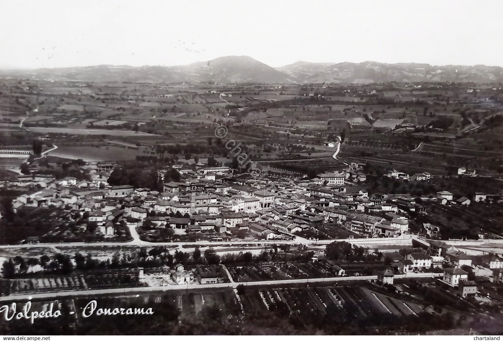 Cartolina - Volpedo ( Alessandria ) - Panorama - 1959 - Alessandria