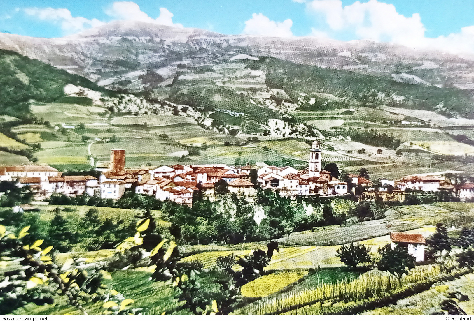 Cartolina - Cartosio - Panorama - Zona Dei Vini Pregiati - 1967 - Alessandria