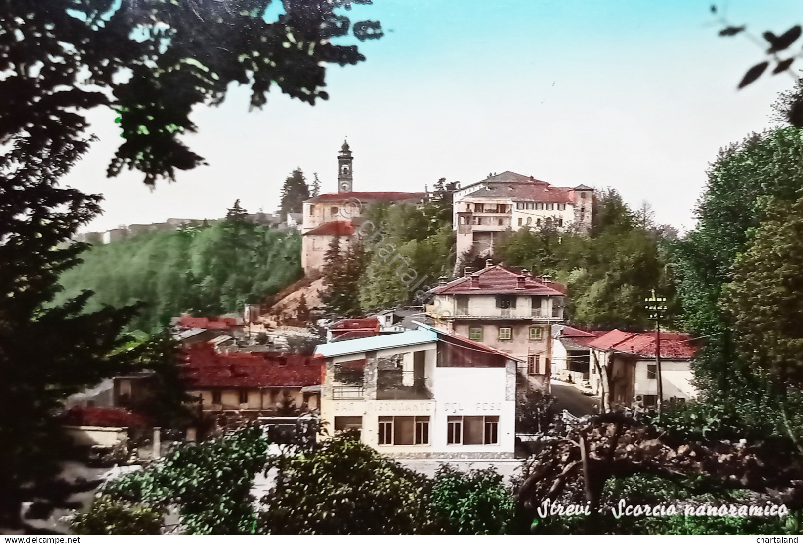 Cartolina - Strevi ( Alessandria ) - Scorcio Panoramico - 1970 - Alessandria