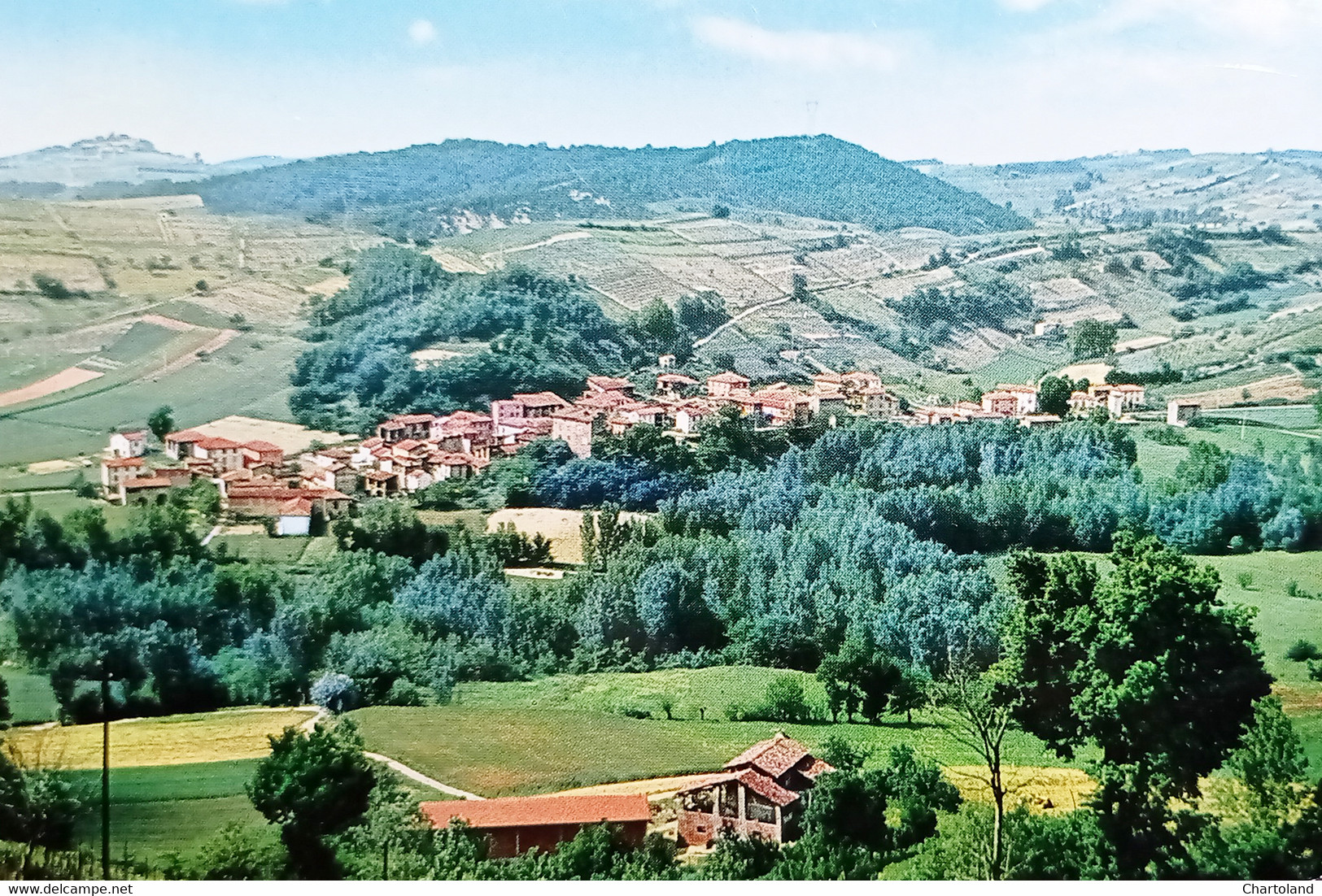 Cartolina - Cuquello ( Alessandria ) - Panorama - 1968 - Alessandria