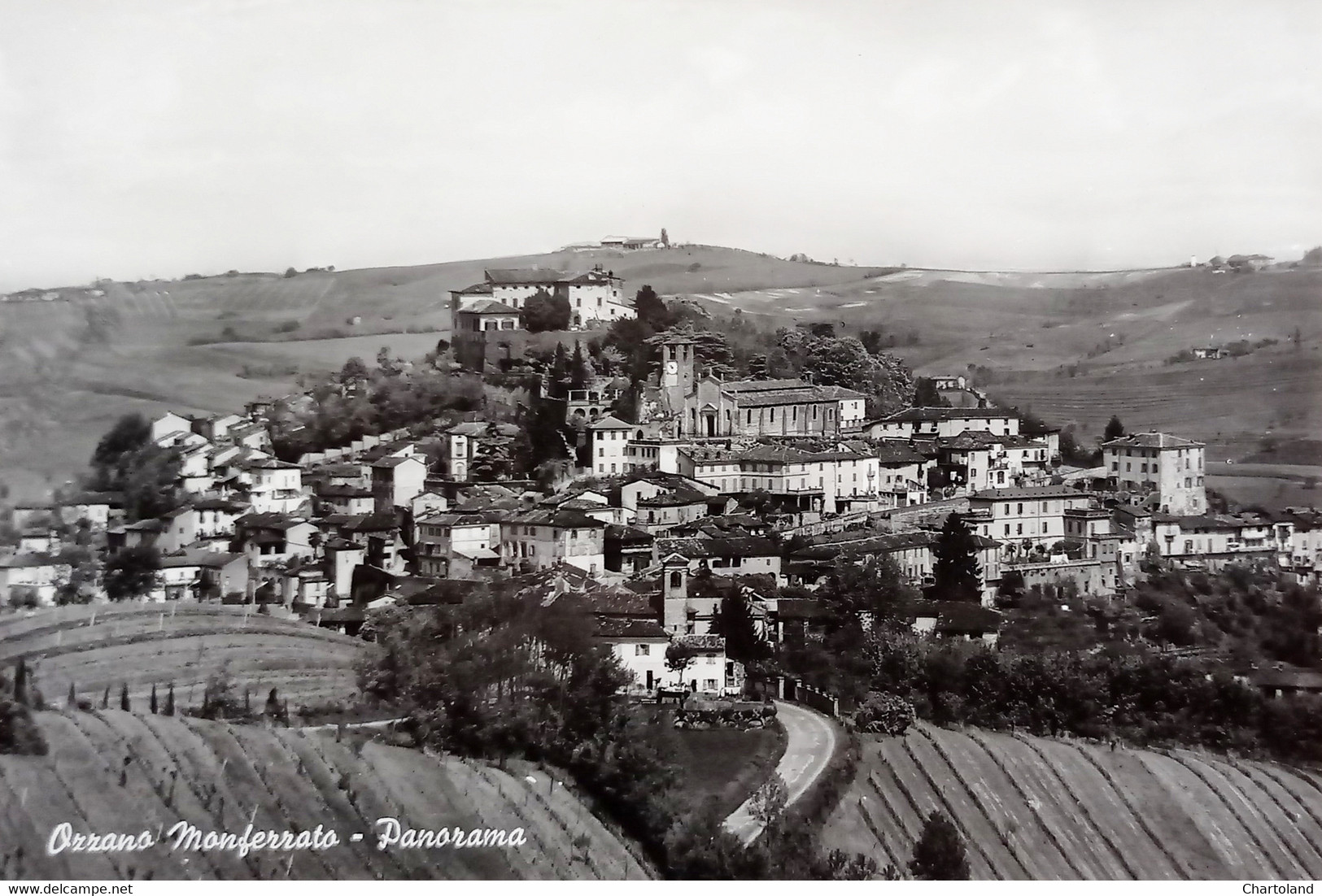 Cartolina - Ozzano Monferrato - Panorama - 1966 - Alessandria