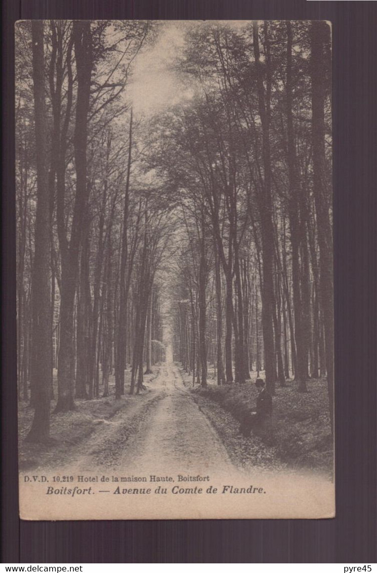 BELGIQUE BOITSFORT AVENUE DU COMTE DE FLANDRE - Watermaal-Bosvoorde - Watermael-Boitsfort