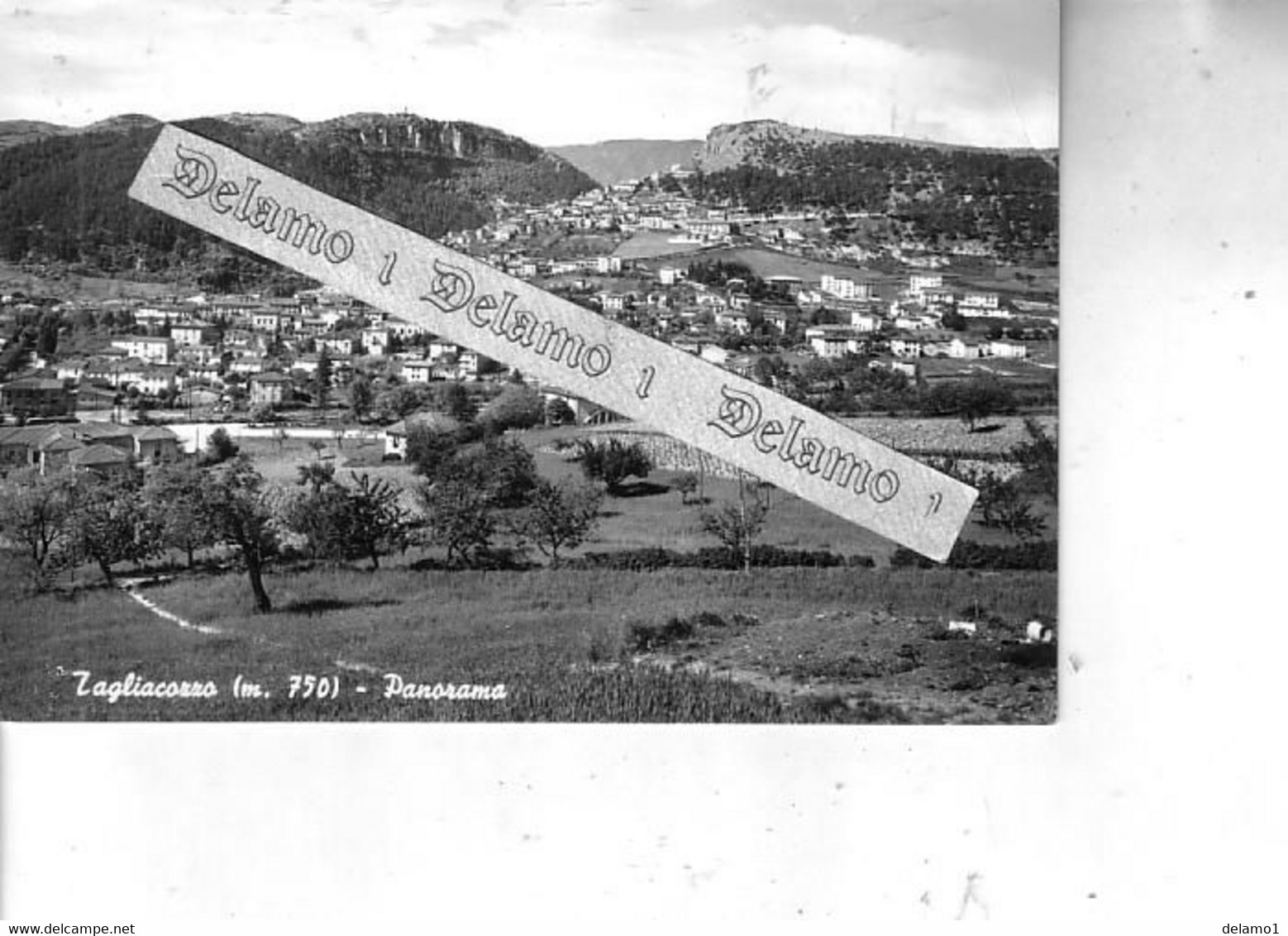 ABRUZZO -- AQUILA E PROV. -- TAGLIACOZZO -- PANORAMA - Avezzano