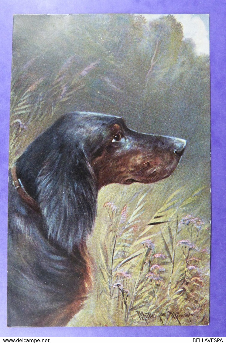 Serie 1193 Jacht Chien- Illustrator-Müller De Chasse-Jagdhund Jachthond Wild.  (German Print) - Caza