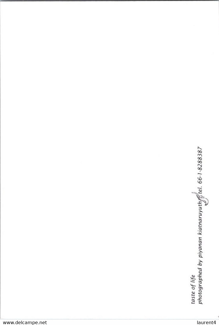 (2 E 34) Laos - (black & White Postcard)  Boys - Laos