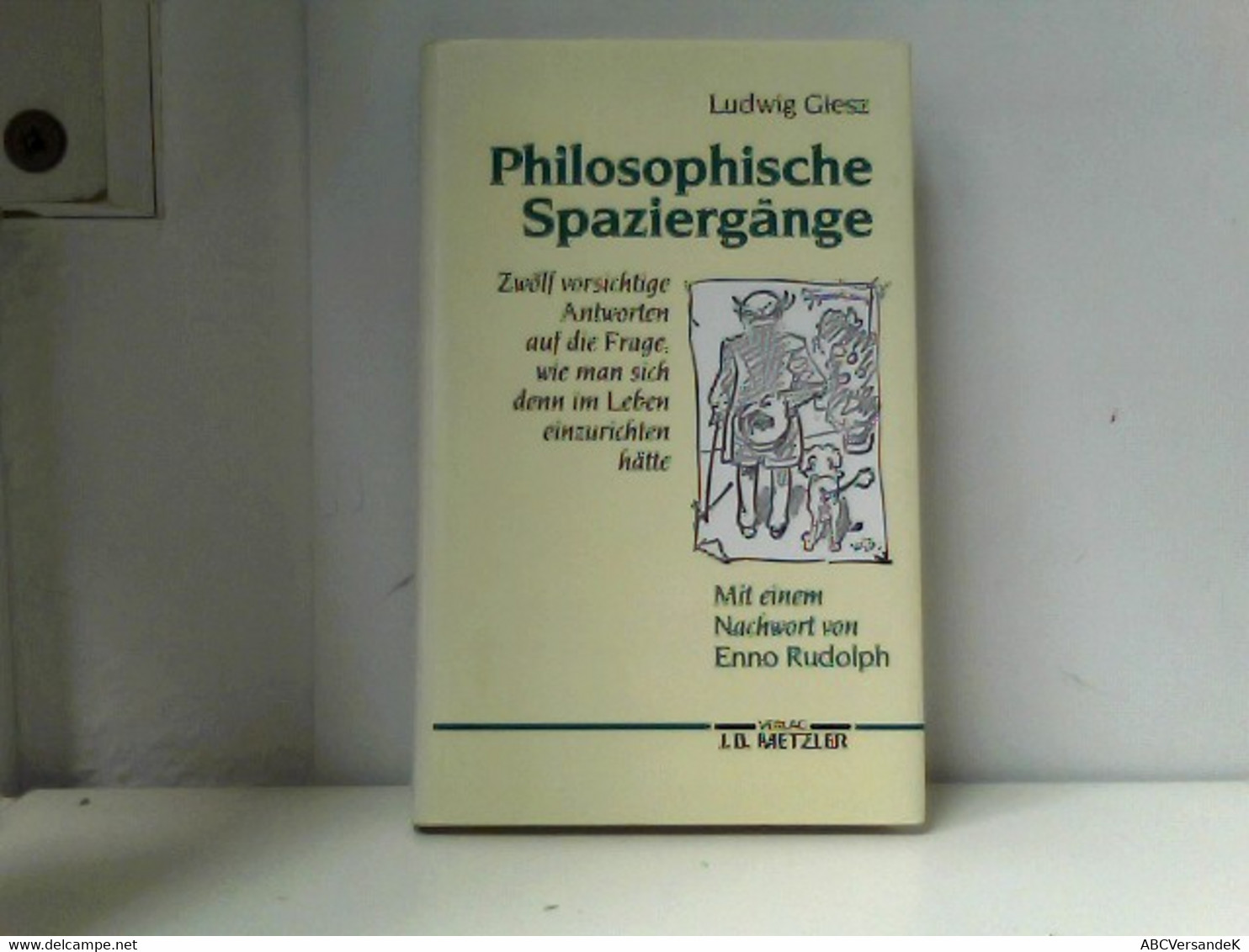 Philosophische Spaziergänge. Sonderausgabe - Philosophie