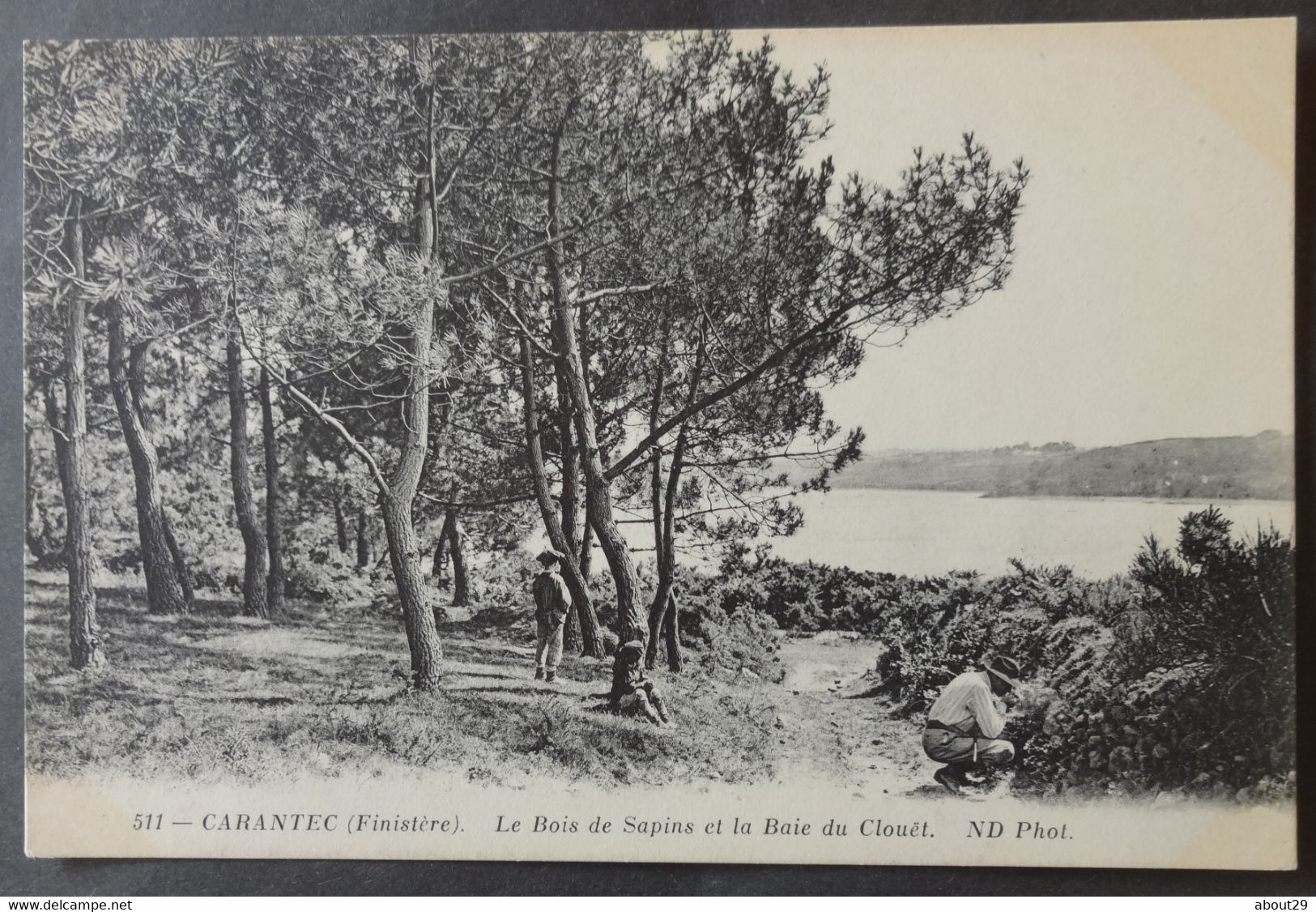 CPA 29 CARANTEC - Le Bois De Sapins Et La Baie Du Clouët - ND 511- Réf. B 252 - Carantec