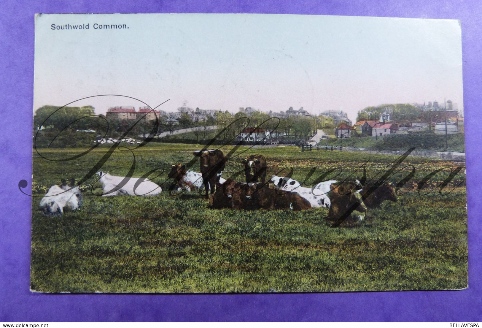 Southwold  Common  1908 - Autres & Non Classés