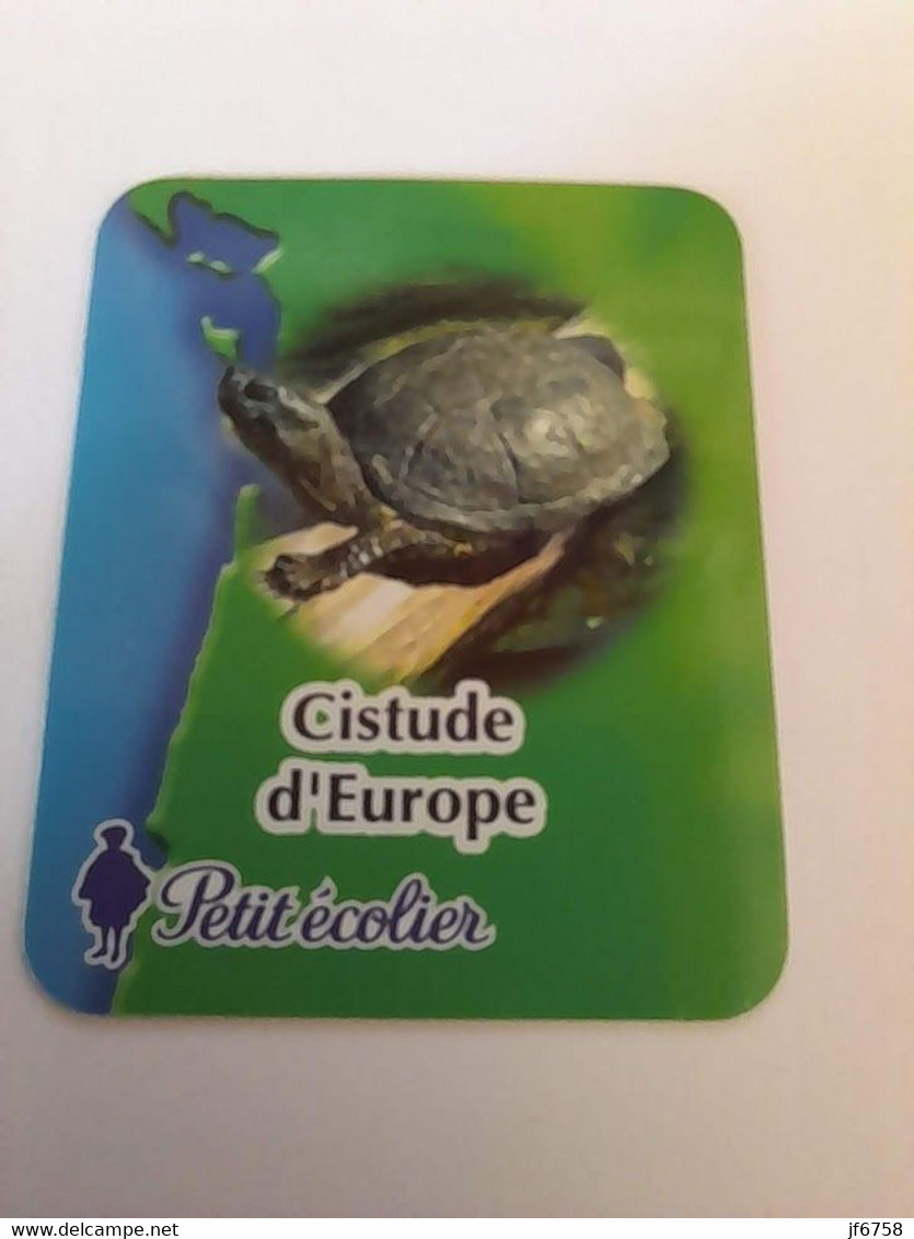 Magnet Petit écolier  Cistude D'Europe - Dieren & Fauna