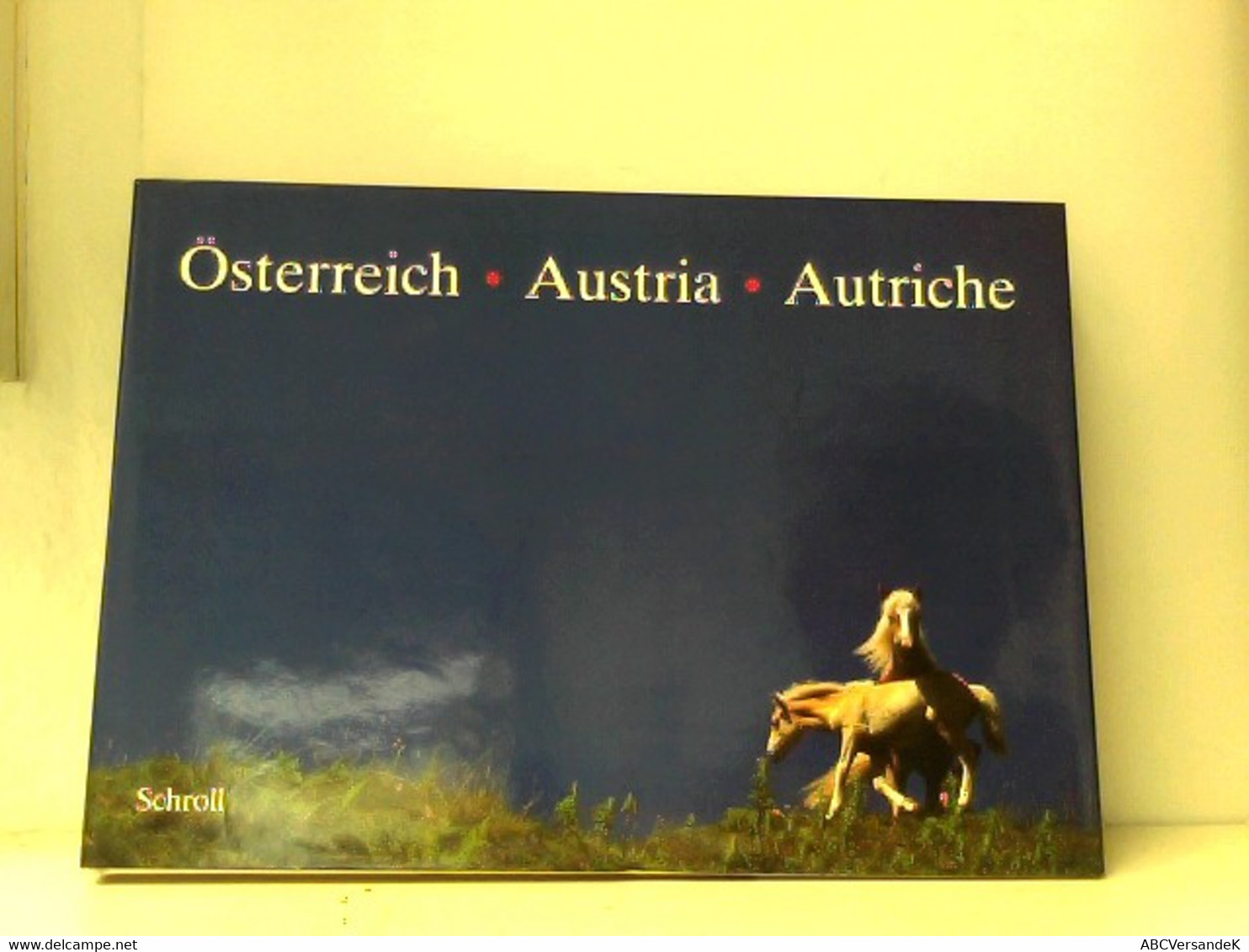 Österreich. Fotos Von Hans Wiesenhofer Mit Texten Von Sylvie Keusch. - Otros & Sin Clasificación