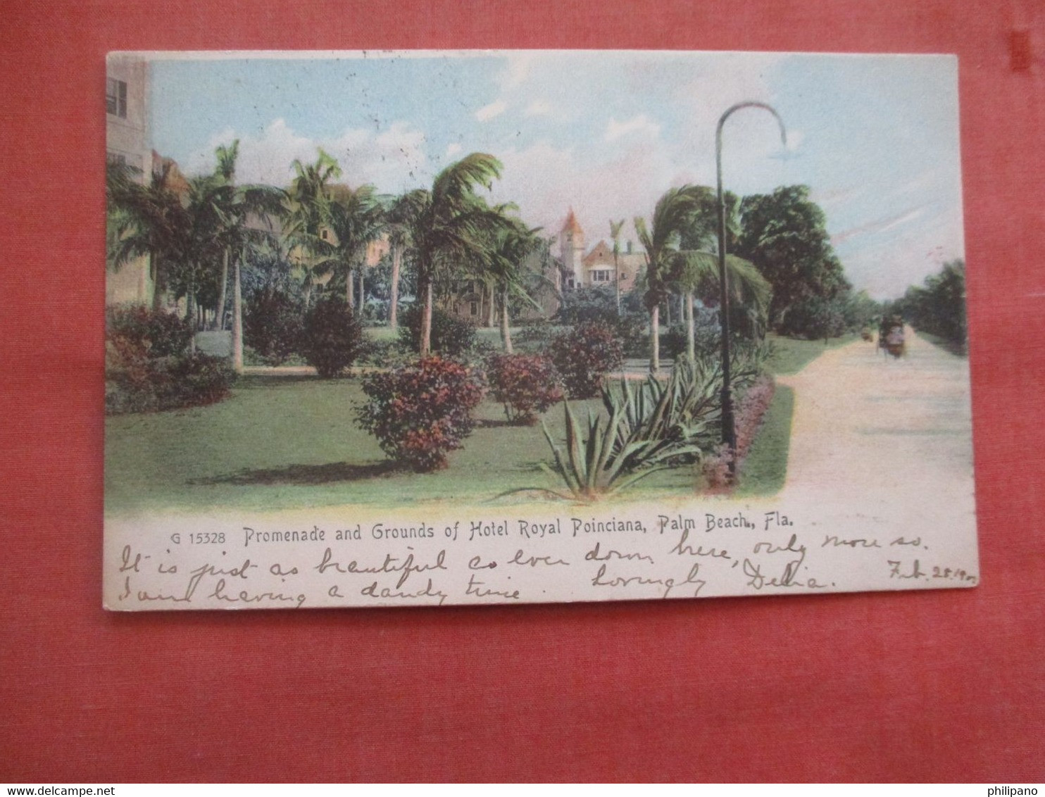 Rotograph. Grounds Of The Hotel Royal Poinciana Palm Beach Florida       Ref  5389 - Palm Beach