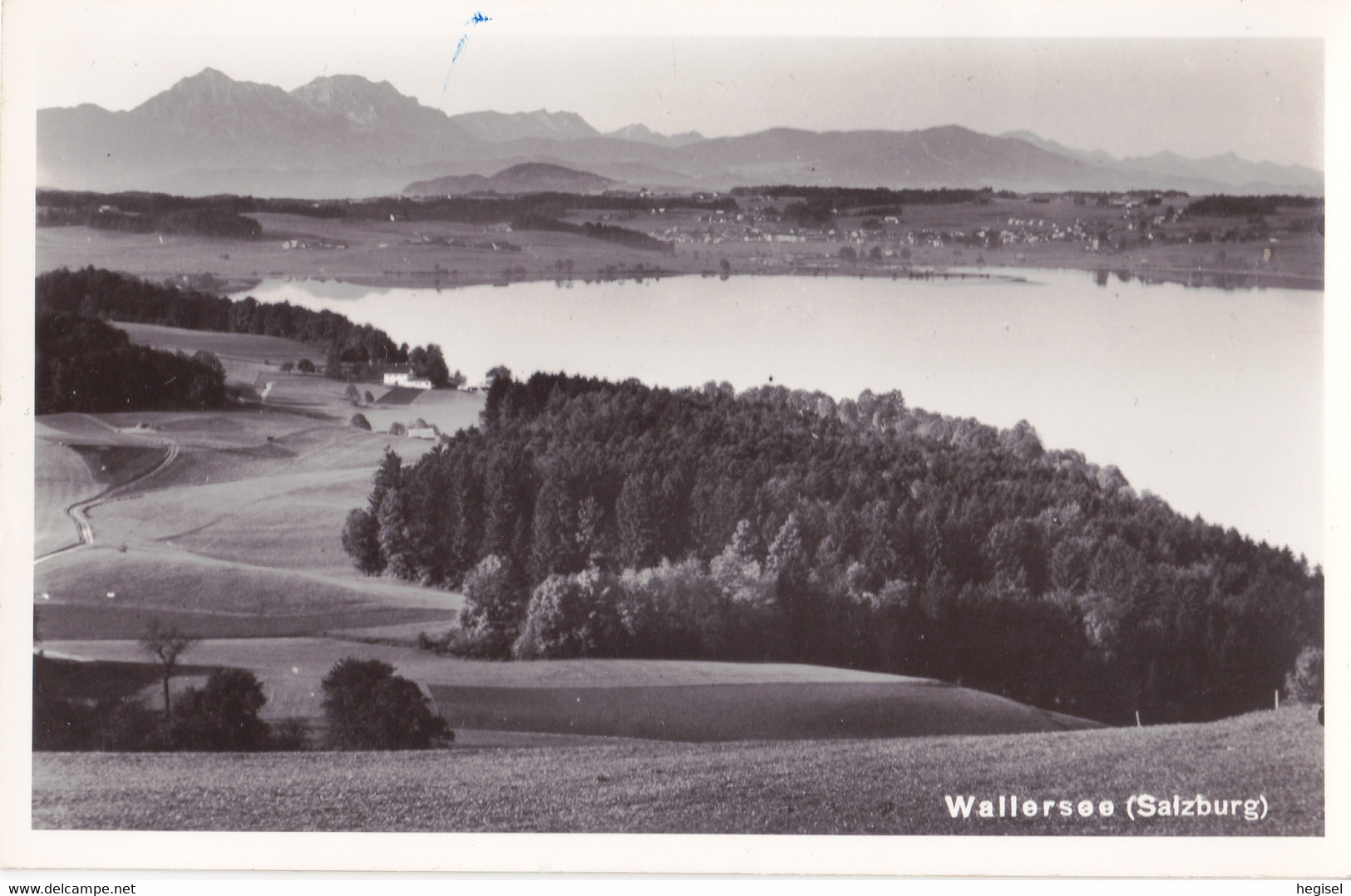 1962, Wallersee, Luftaufnahme, Flachgau, Salzburg - Henndorf Am Wallersee