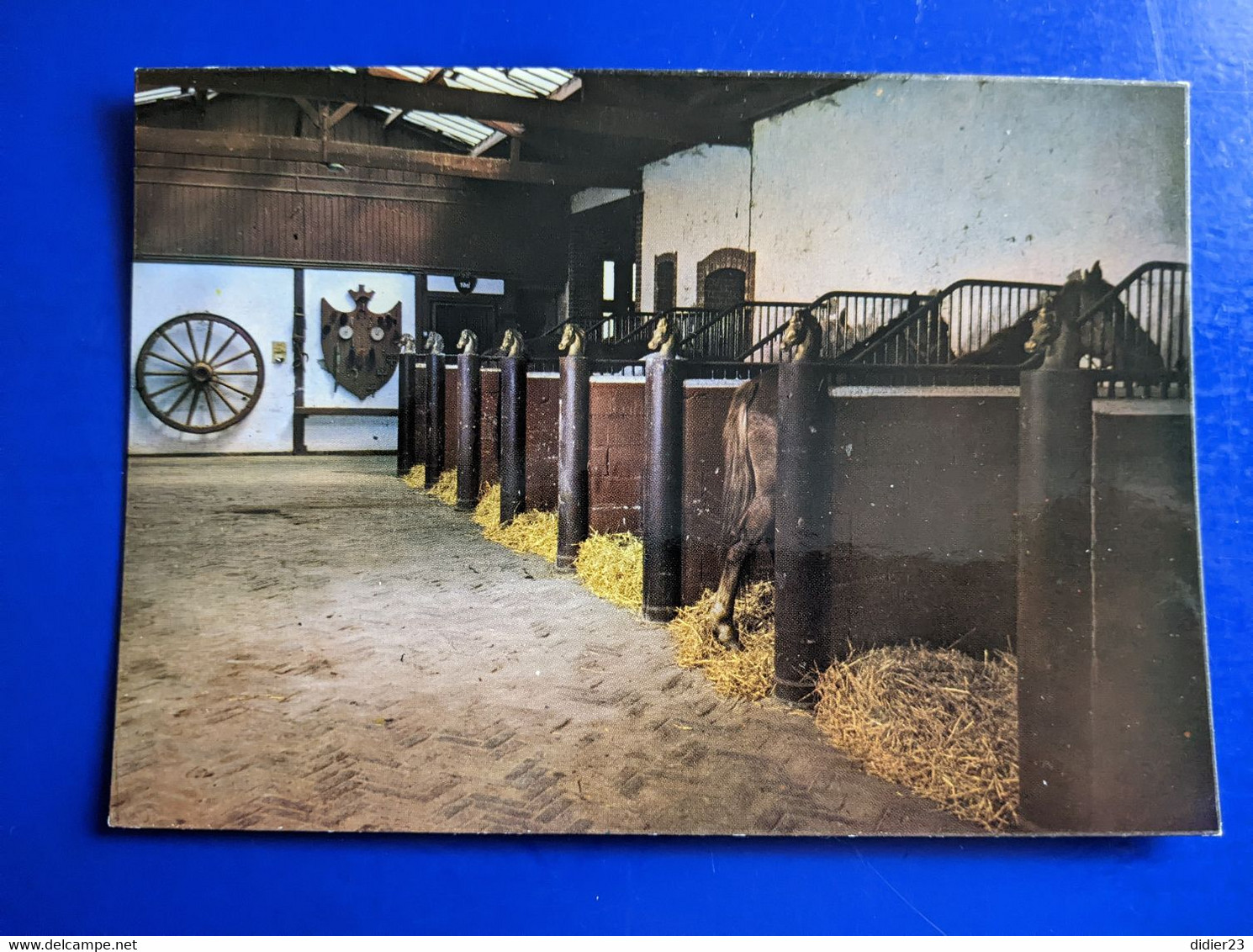 CERISIERS  HARAS CENTRE EQUESTRE DANIEL DOYEN CHEVAUX - Cerisiers