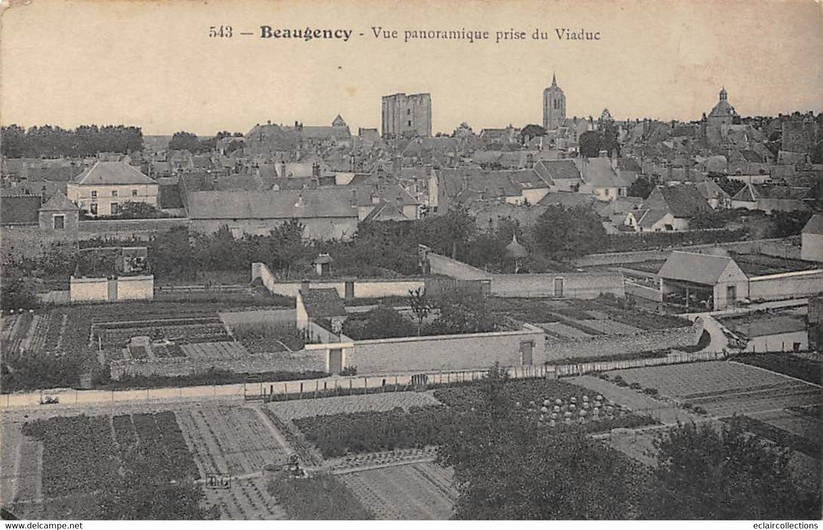 Beaugency           45        Vue Panoramique Prise Du Viaduc     (voir Scan) - Beaugency