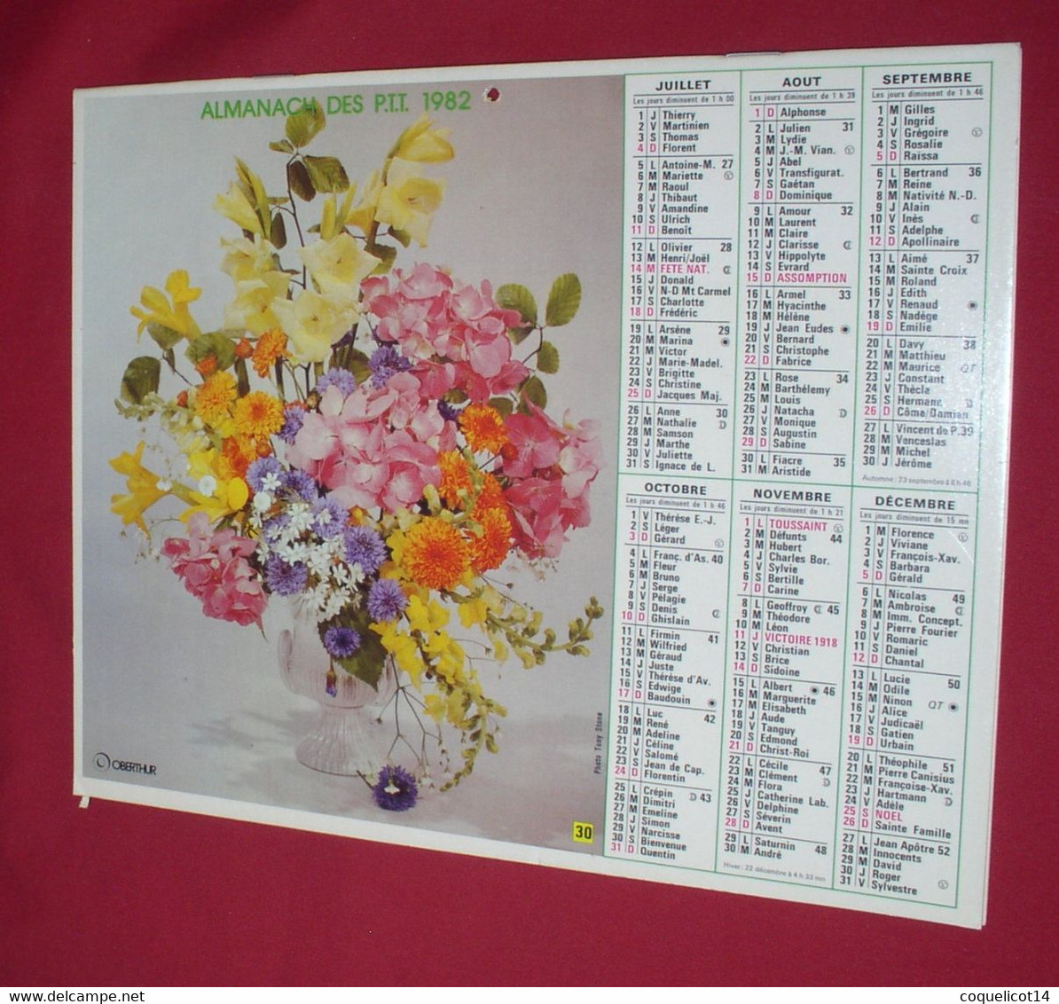 Almanach Du Facteur 1982 PTT Oberthur  (81) Photos Bouquets De Fleurs Pictor Aarons / Tony Stone - Grand Format : 1981-90