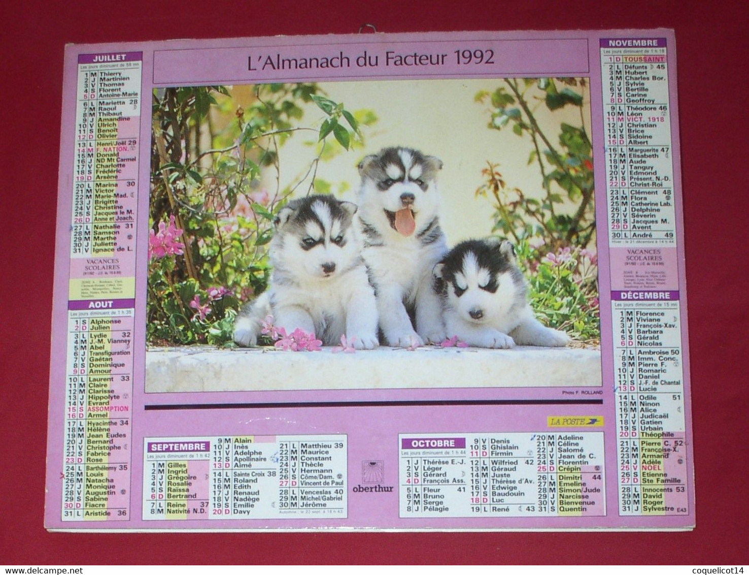 Almanach Du Facteur 1992 PTT Oberthur  (81) Photos Chiots / Chatons - Grand Format : 1991-00