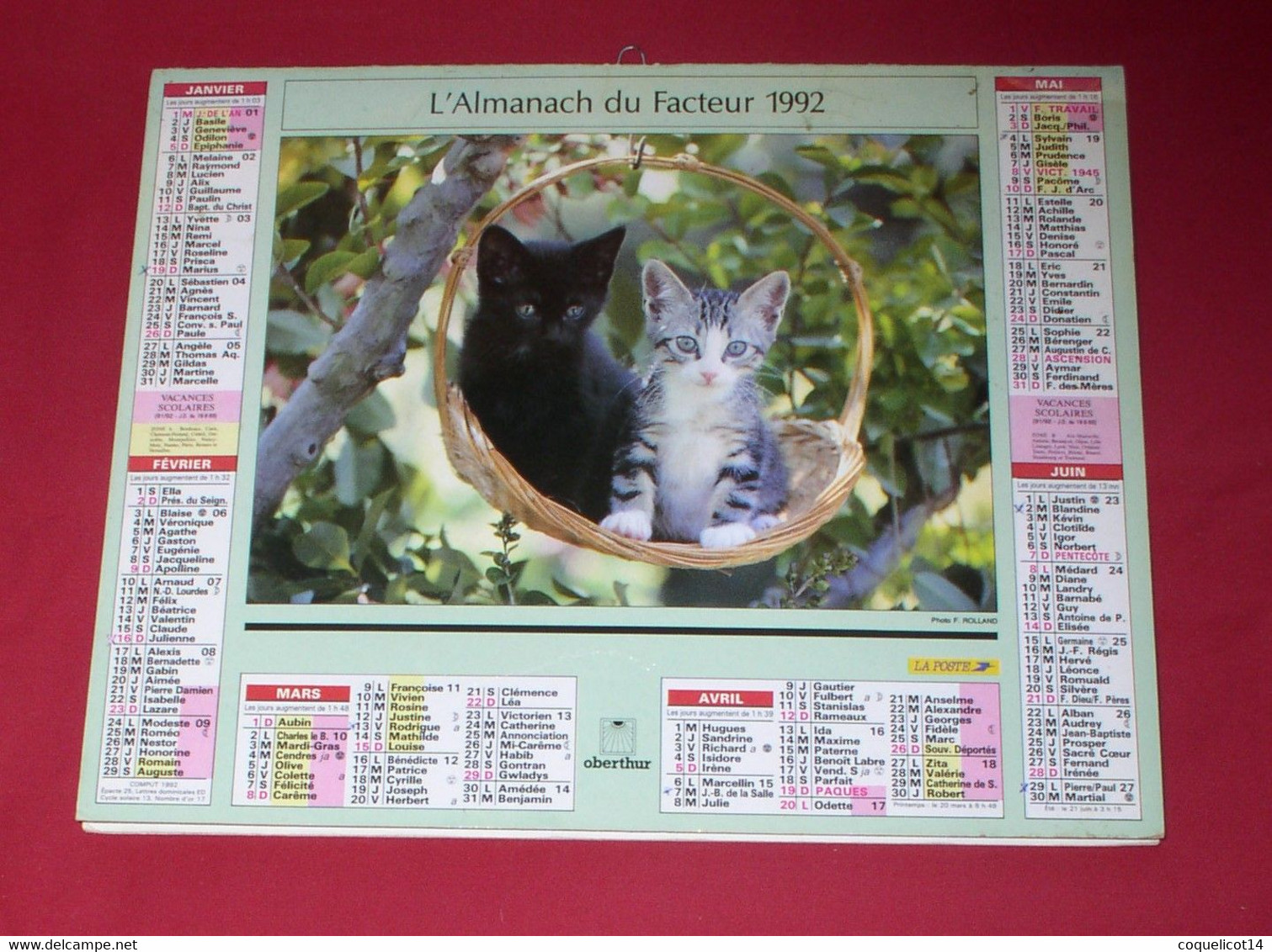 Almanach Du Facteur 1992 PTT Oberthur  (81) Photos Chiots / Chatons - Grand Format : 1991-00