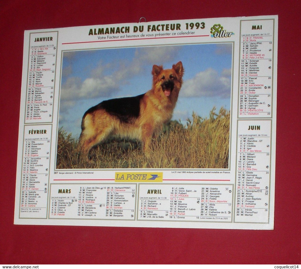 Almanach Du Facteur 1993 PTT Oller  (81) Photos 307 Berger Allemand / Pur Sang Arabe - Grand Format : 1991-00