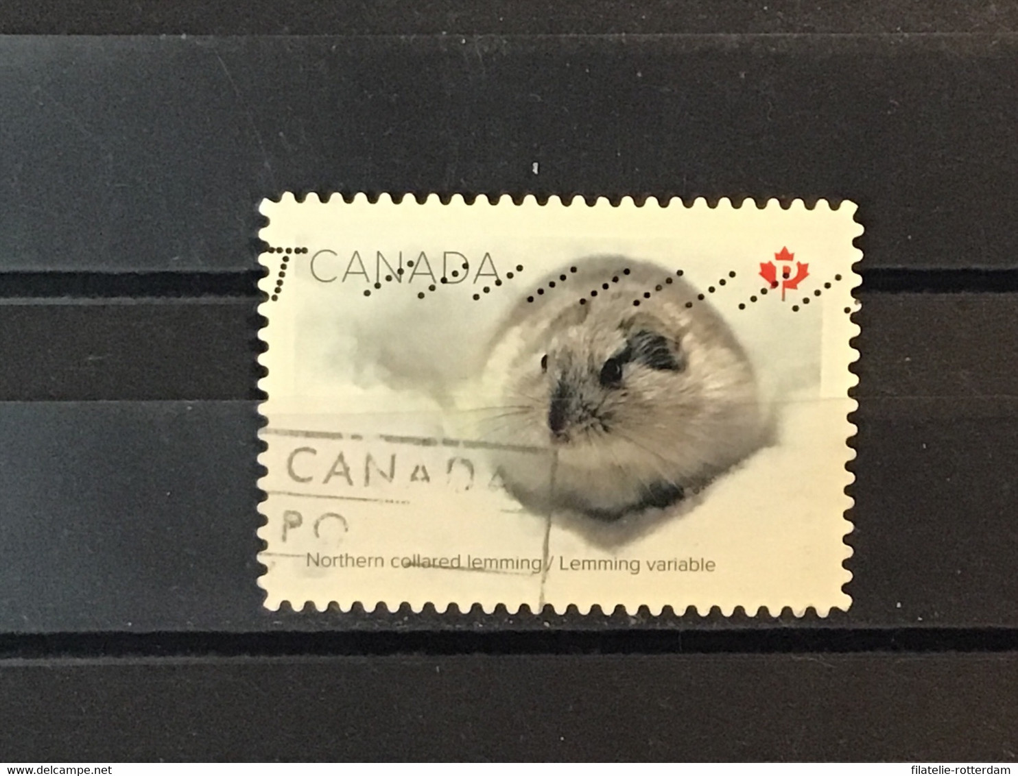 Canada - Lemming (P) 2021 - Used Stamps