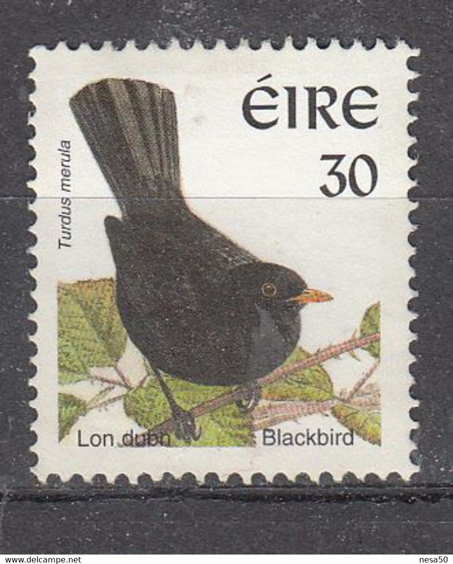 Ierland, 1998, Mi Nr 1051, Vogel Bird, Merel, Blackbird - Sonstige & Ohne Zuordnung