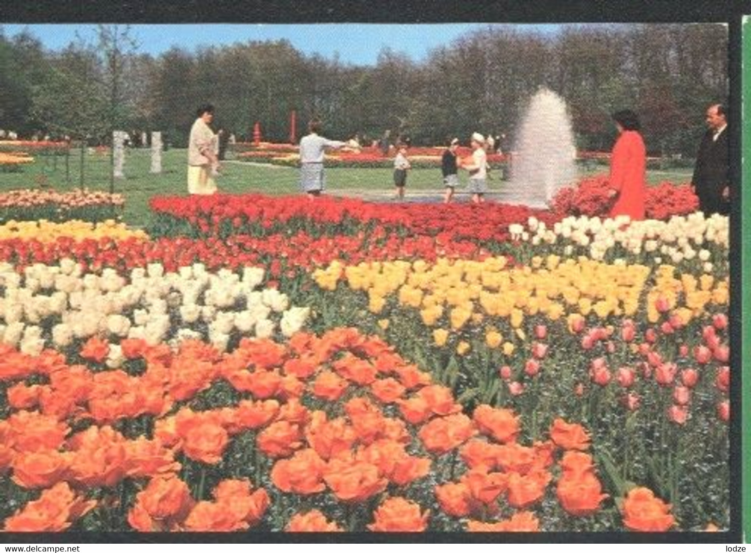 Nederland Holland Pays Bas Lisse Keukenhof Vol Bloemen - Lisse