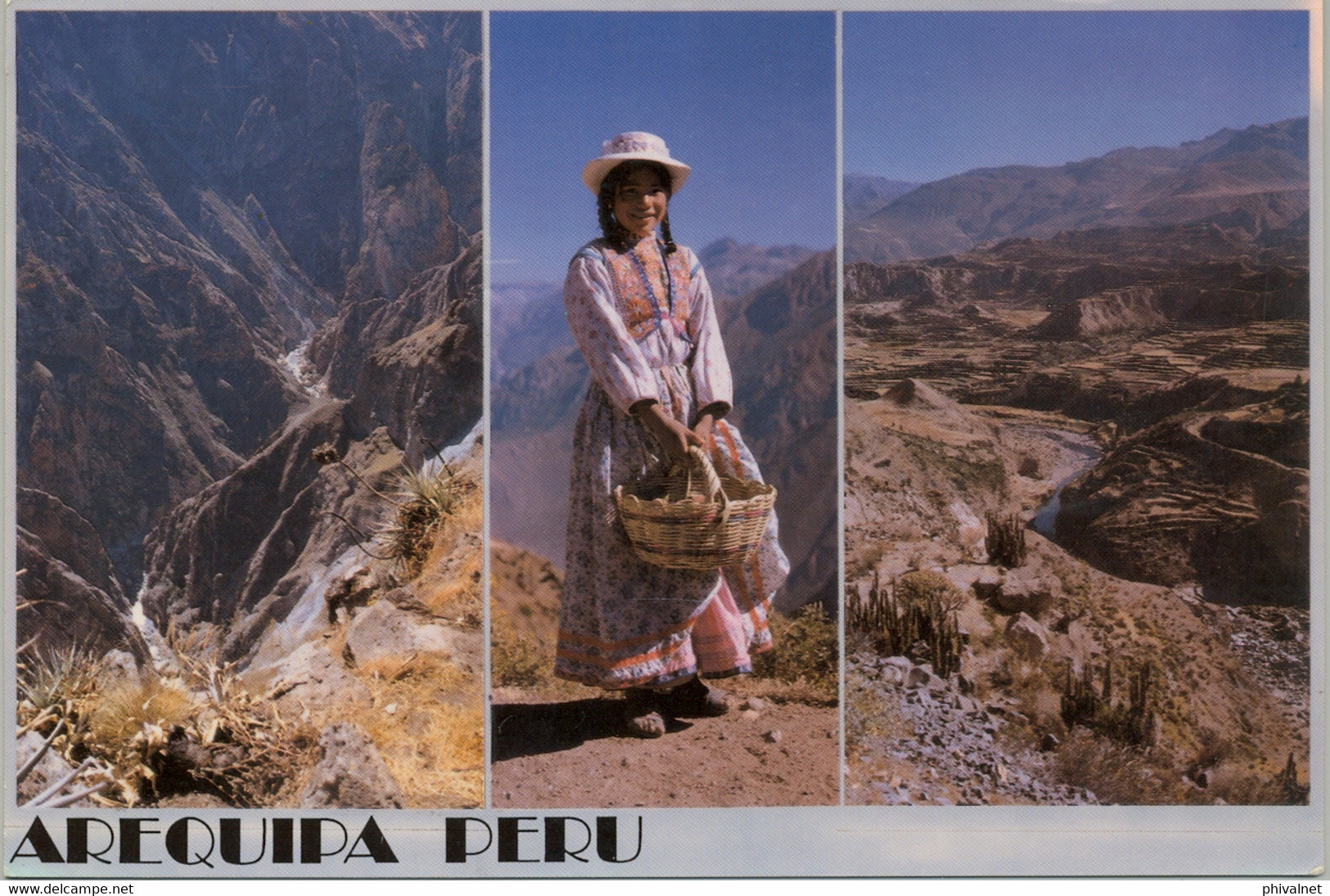 PERÚ , T.P. CIRCULADA , VALLE DEL COLCA , AREQUIPA - Pérou