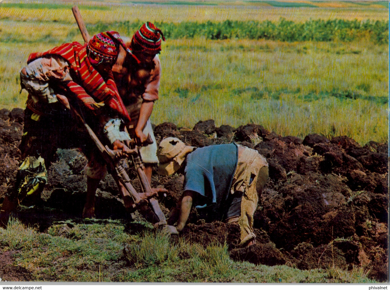 PERÚ , T.P. CIRCULADA , CHAQUITAJLLA , ARADO INCAICO , CUZCO - Perú