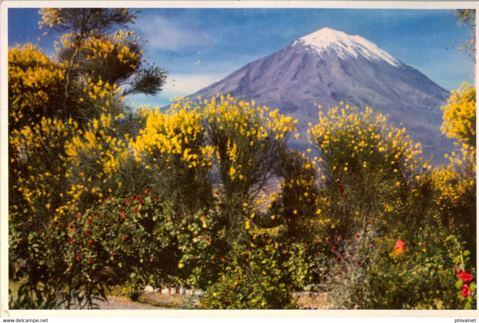 PERÚ , T.P. CIRCULADA , EL VOLCÁN MISTI , AREQUIPA - Pérou