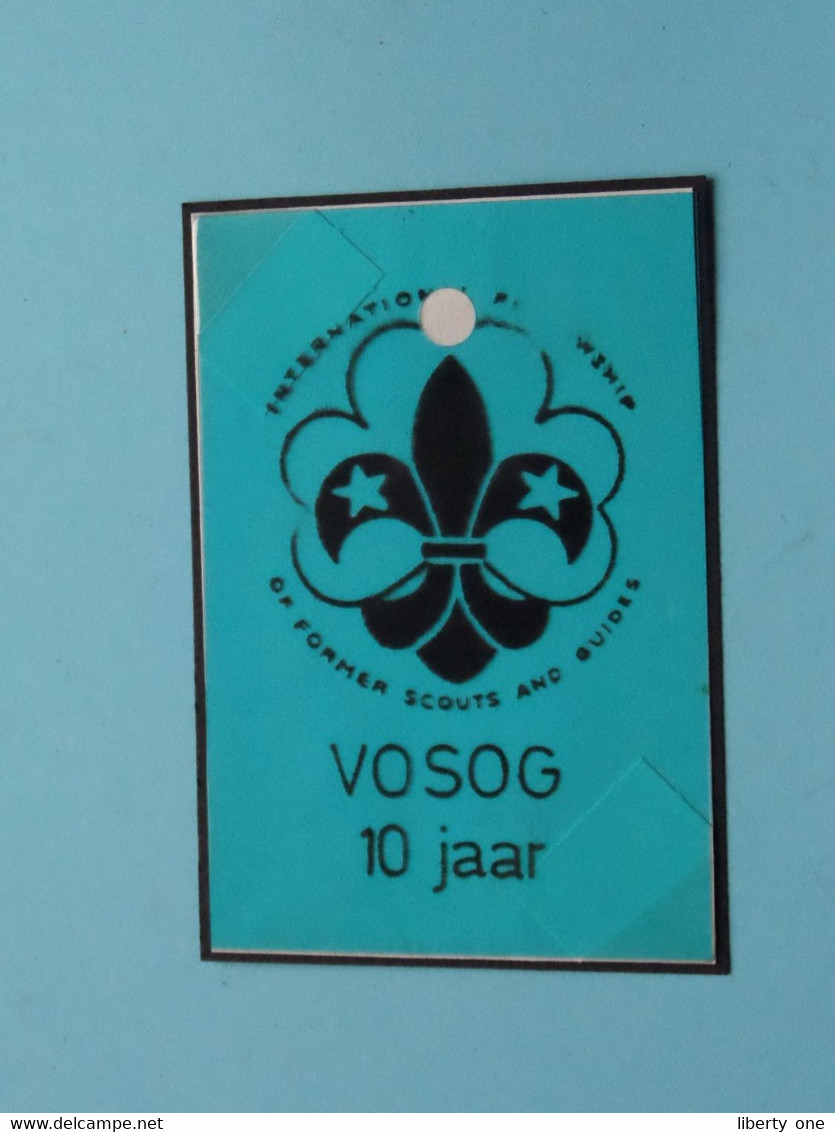 VOSOG 10 Jaar () Plastiek Embleem Blauw () SCOUTS ( Zie / See / Voir Photo ) V.O.S.O.G. ! - Scoutismo