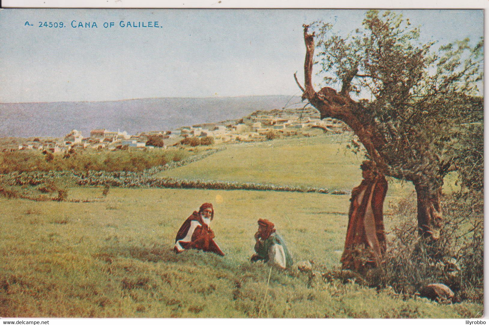 PALESTINE - Cana Of Galilee - Palestina