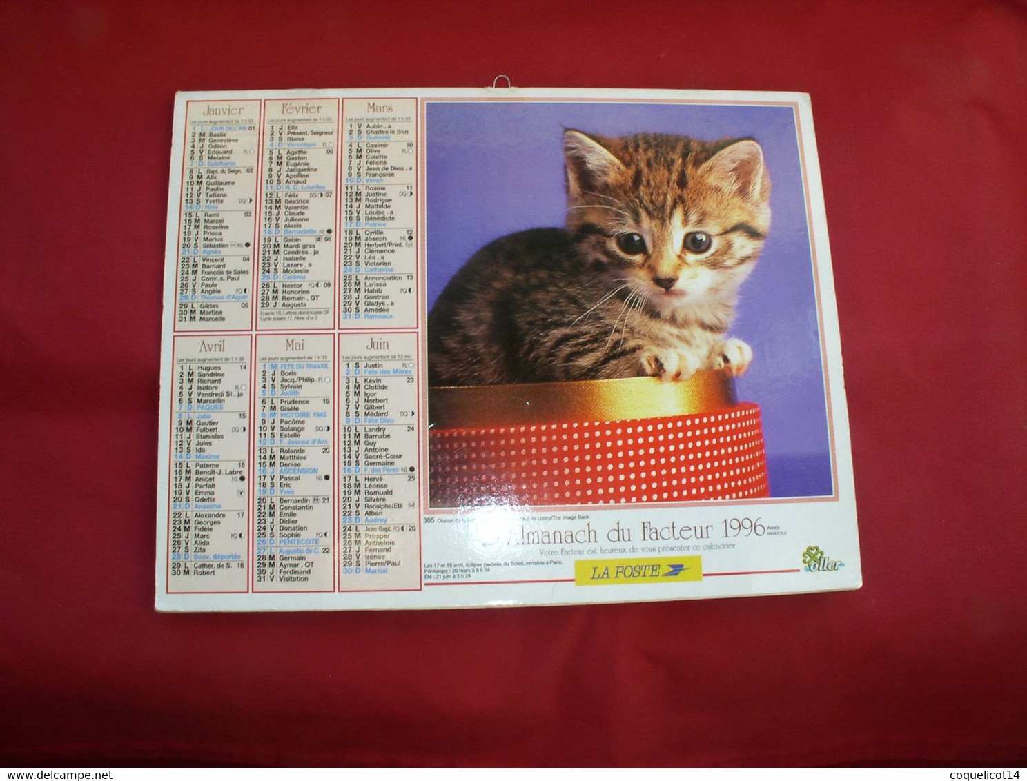 Almanach Du Facteur 1996 PTT Oller  (81) Photos 305 Chaton /Terriers Du Yorkshire - Grand Format : 1991-00