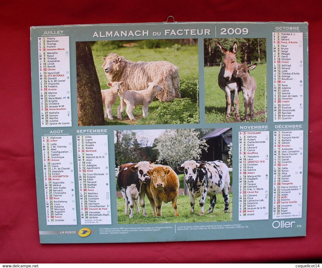 Almanach Du Facteur 2009 PTT Oller (81) Photos Poules / Chèvres / Cochon / Moutons / Anes / Vaches - Grand Format : 2001-...