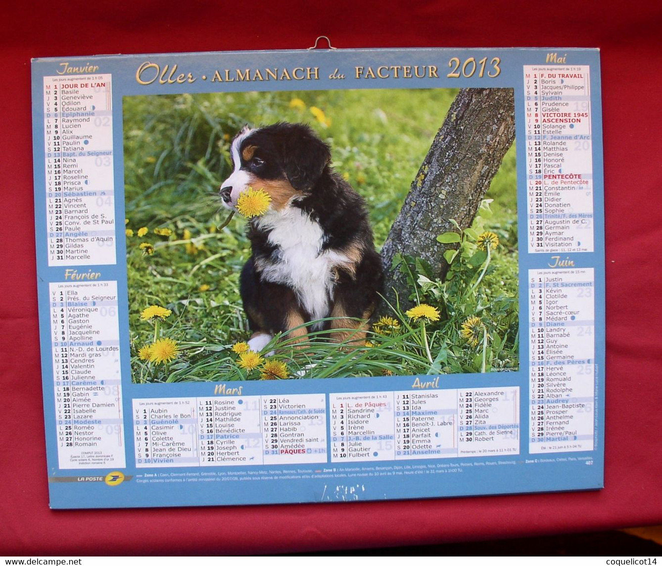 Almanach Du Facteur 2013 PTT Oller (81) Photos Chiots - Grand Format : 2001-...