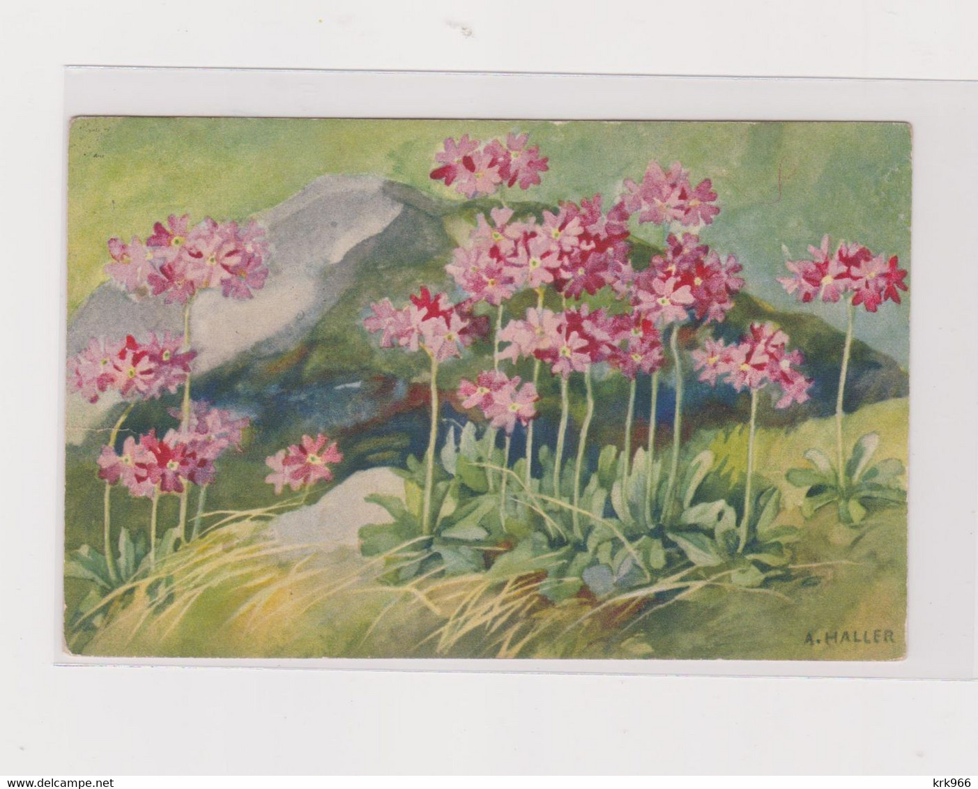 HALLER A. Flowers Mice Postcard - Haller, A.