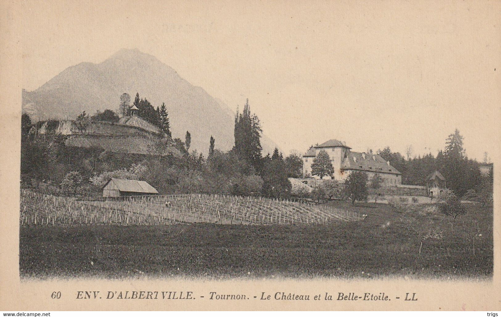 Tournon - Le Château Et La Belle Étoile - Albertville