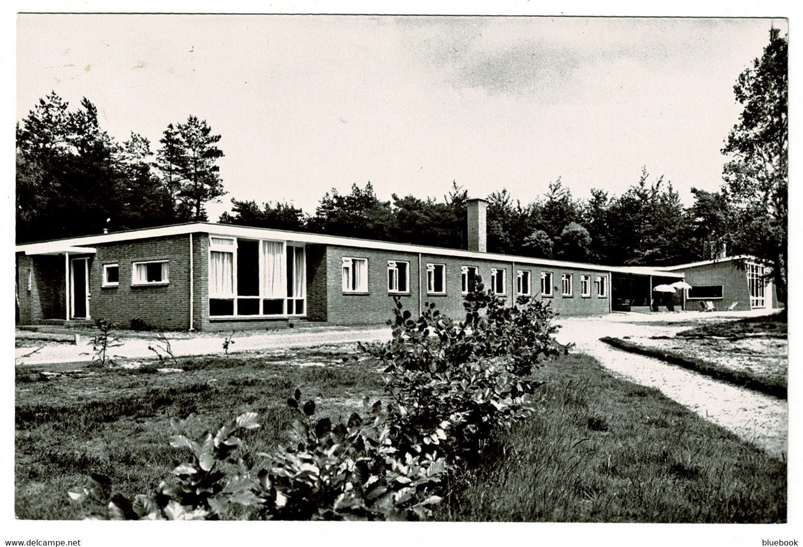 Ref 1509 - Real Photo Postcard - Chr. Blindenoord Dennenheul - Ermelo Netherlands Holland - Ermelo