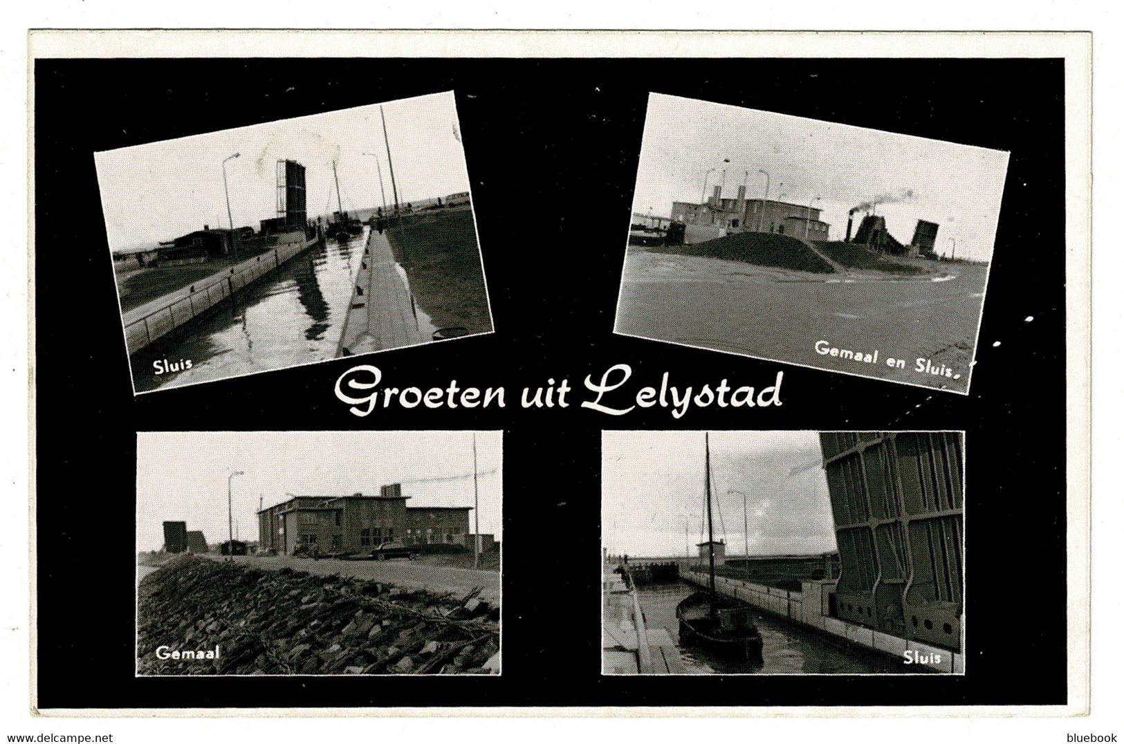 Ref 1509 - Real Photo Postcard - Lelystad Multivies - Netherlands Holland - Lelystad