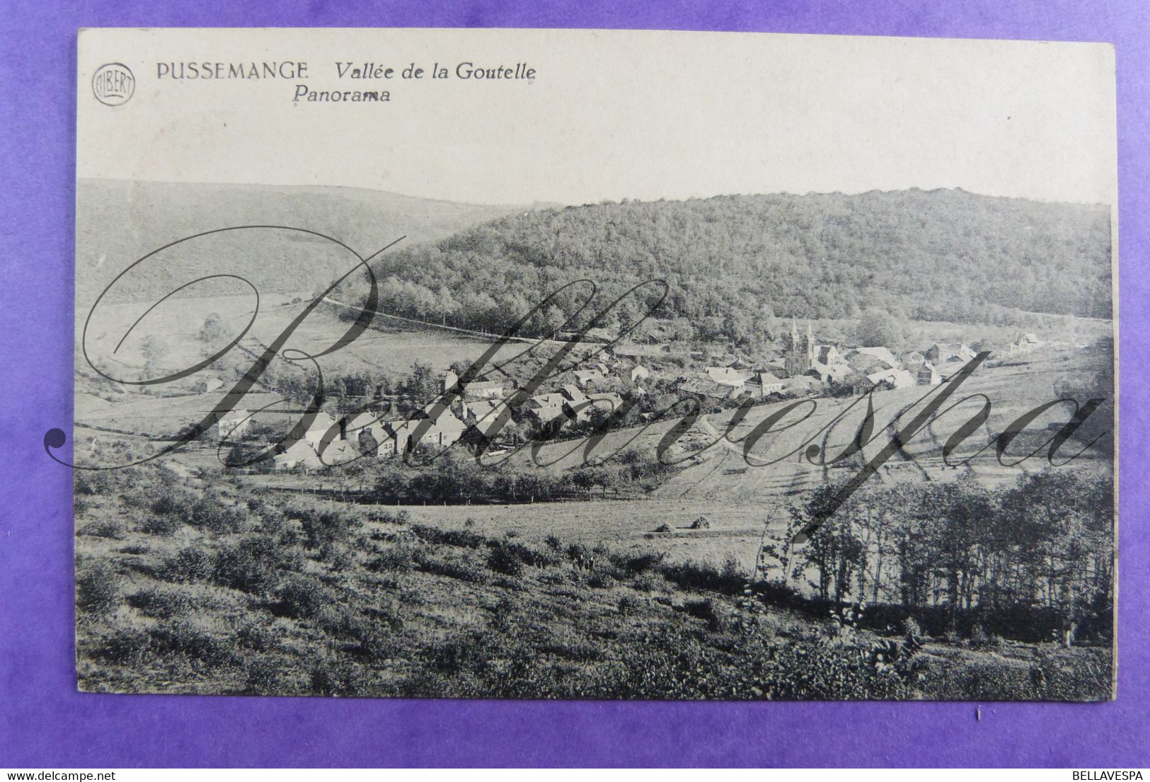 Pussemange Vallée De La Goutelle Panorama S.M. Poste Sugny 1924 - Matériel