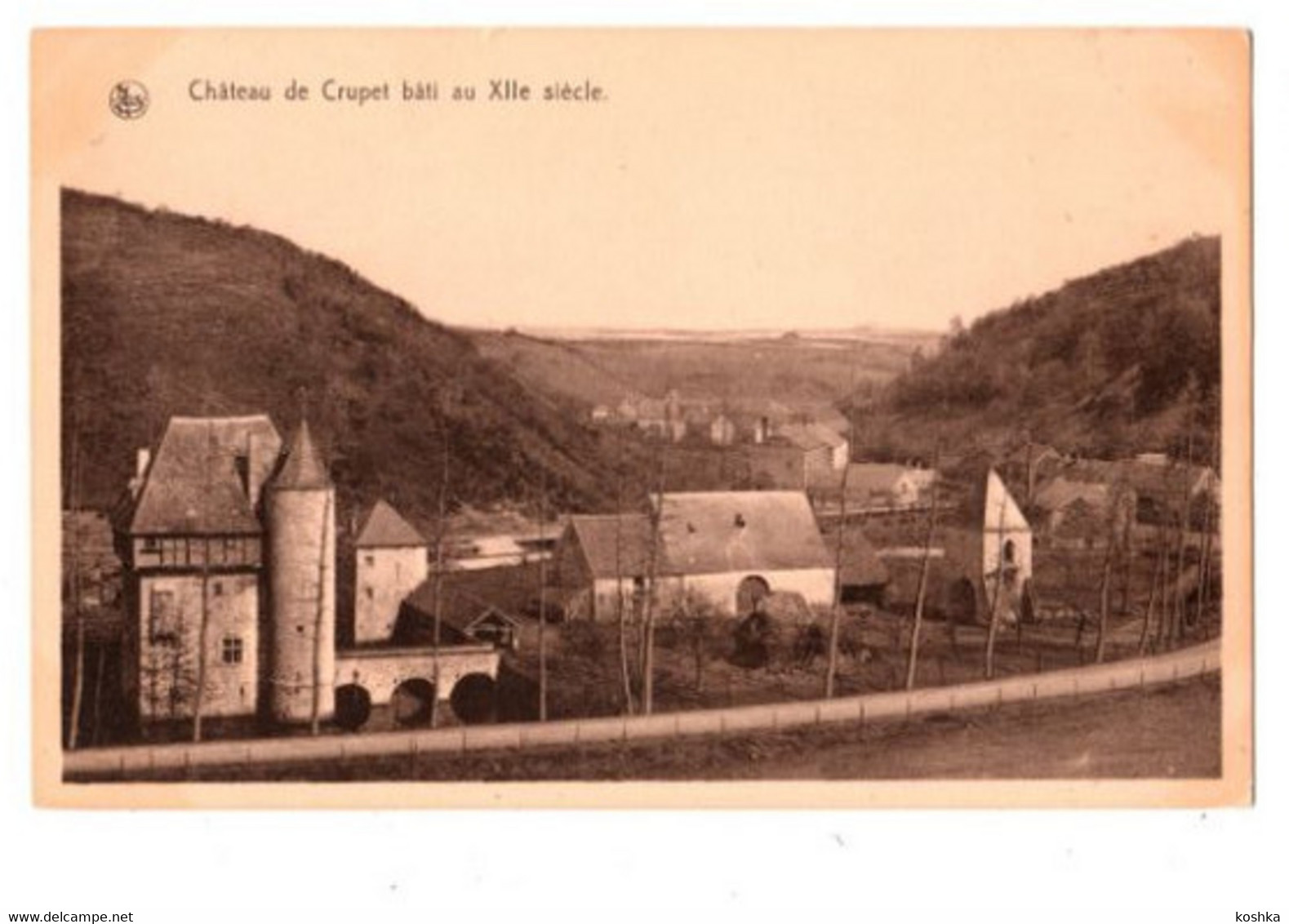 Château De CRUPET - Non Envoyée - - Assesse